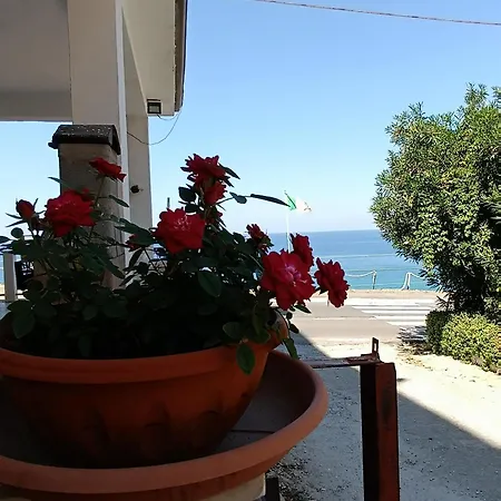Domus Piedigrotta B&B
